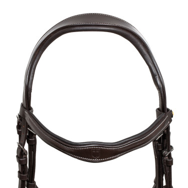 Brida anatómica con logotipo Equestro Marrón oscuro Marr&amp;amp;amp;oacute;n