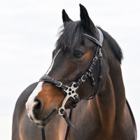 Hackamore de cuero Jump'In ramas cortas y planas Poni Negro