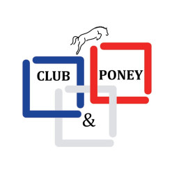 Hackamore de cuero Jump'In ramas cortas y planas Poni Negro Hackamore de cuero Jump'In ramas cortas y planas Poni Negro