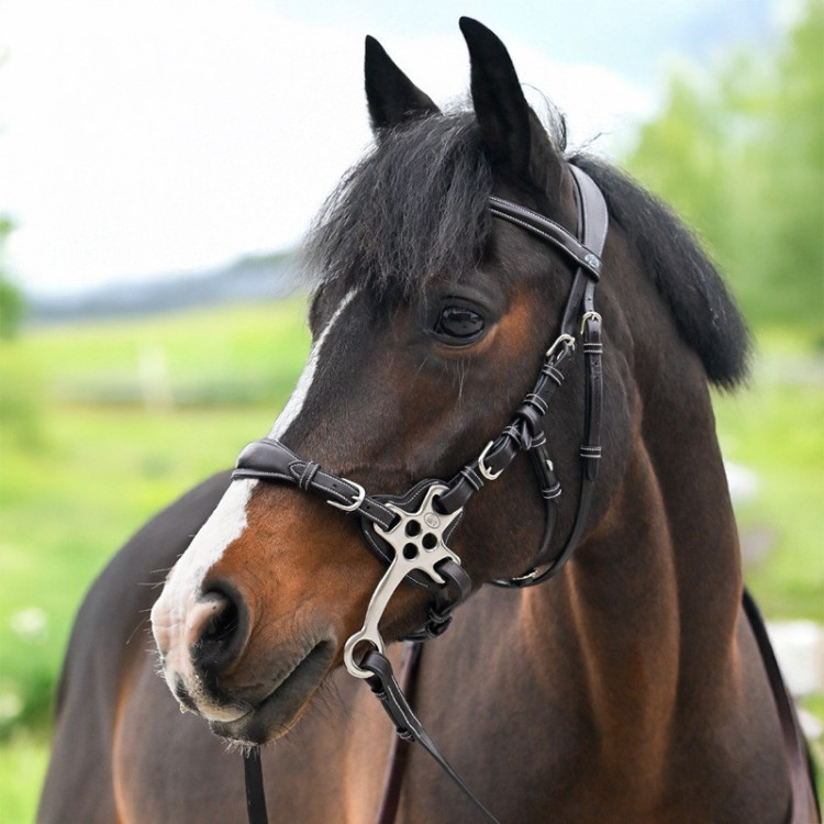 Brida Hackamore Jump'In One Premium