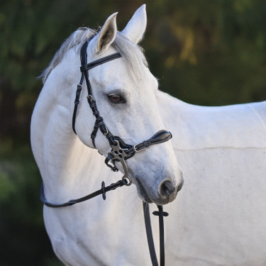 Brida Hackamore Jump'In One Premium Brida Hackamore Jump'In One Premium