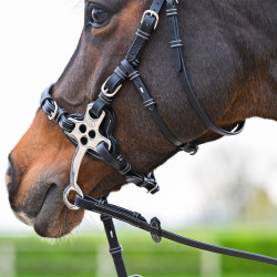 Brida Hackamore Jump'In One Premium Havana Marrón