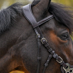 Brida Hackamore Jump'In One Premium Havana Marrón