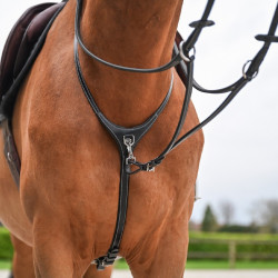 Collar y martingala desmontable Jump'In Collection One Premium
