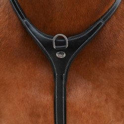 Collar y martingala desmontable Jump'In Collection One Premium Negro