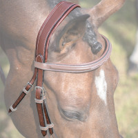 Cabezada Jump'In Paris / Bruxelles Colección One Avellana Marrón