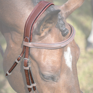 Cabezada Jump'In Paris / Bruxelles Colección One Avellana Marrón