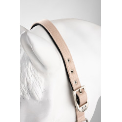 Cabezada de cuadra Hardwick B Vertigo Sepia rosado