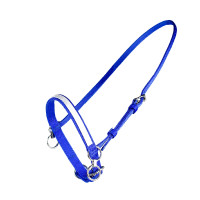 Cabezada de cuadra con anillo Finn-Tack Azul / blanco