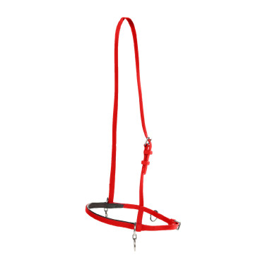 Cabezada síntetica con anillo Finn-Tack Roja Rojo