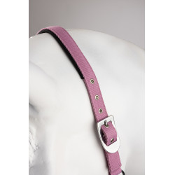 Cabezada y ramal Horze Graffiti Pony Begonia rosa