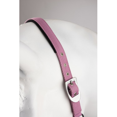 Cabezada y ramal Horze Graffiti Pony Begonia rosa