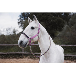 Cabezada y ramal Horze Graffiti Pony Begonia rosa