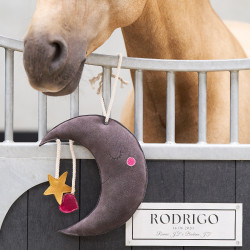 Juguete para el box Imperial Riding Moony Juguete para el box Imperial Riding Moony