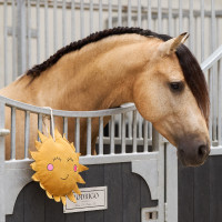 Juguete para la caja Imperial Riding Sunny Amarillo