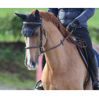 Vliegennetje Show-Line Azúl marino / gris