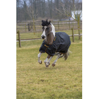 Manta Irish Turnout Bucas 100g Negro / oro Manta Irish Turnout Bucas 100g Negro / oro