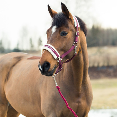 Ramal Howard Crescendo Horze Púrpura Violeta