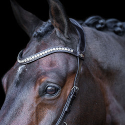 Brida HV Polo Legacy Anatómica deluxe Marrón chocolate Marr&amp;oacute;n