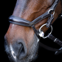 Brida HV Polo Legacy Anatómica deluxe Marrón chocolate Marr&amp;oacute;n