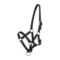 Cabezada potro HV Polo Nena Negro