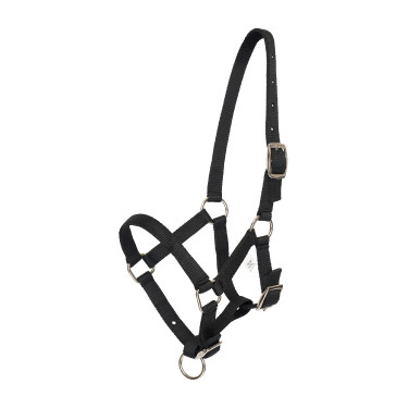 Cabezada potro HV Polo Nena Negro