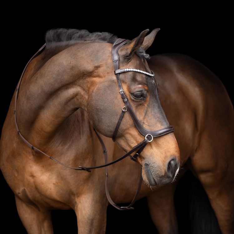 Brida sin bocado HV Polo Legacy