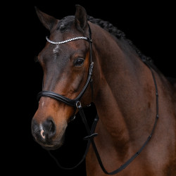 Brida sin bocado HV Polo Legacy