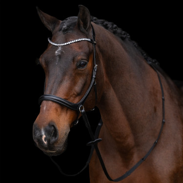 Brida sin bocado HV Polo Legacy Brida sin bocado HV Polo Legacy