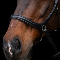 Brida sin bocado HV Polo Legacy Marrón chocolate