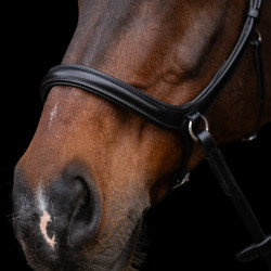 Brida sin bocado HV Polo Legacy Negro