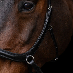 Brida sin bocado HV Polo Legacy Negro