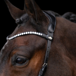 Brida sin bocado HV Polo Legacy Negro