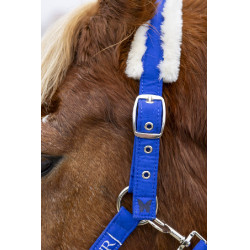 Cabezada y ramal Harcour Teschic Azul eléctrico