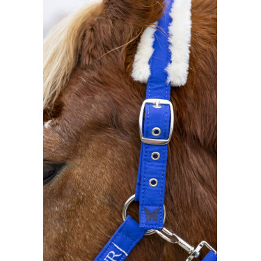 Cabezada y ramal Harcour Teschic Azul eléctrico