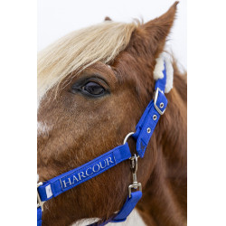 Cabezada y ramal Harcour Teschic Azul eléctrico