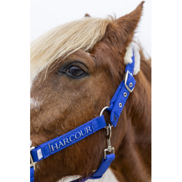 Cabezada y ramal Harcour Teschic Azul eléctrico