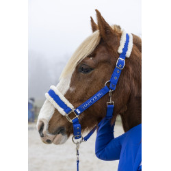 Cabezada y ramal Harcour Teschic Azul eléctrico