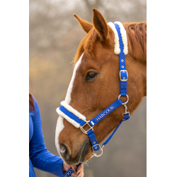 Cabezada y ramal Harcour Teschic Azul eléctrico