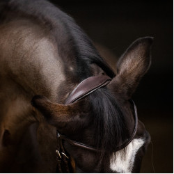 Bridon Stübben Pro-Jump con Slide&Lock Ébano / ébano