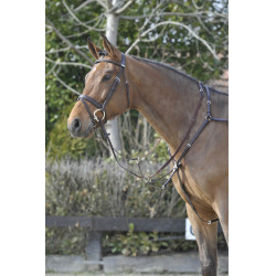 Pechopetral Stübben SideFit con martingala desmontable y ajustable Ébano / ébano