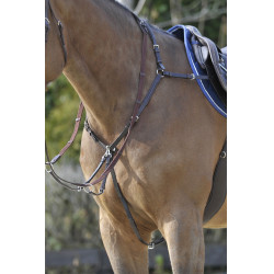 Pechopetral Stübben SideFit con martingala desmontable y ajustable Ébano / ébano