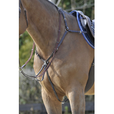 Pechopetral Stübben SideFit con martingala desmontable y ajustable Ébano / ébano