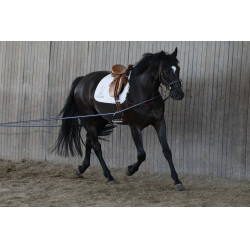 Riendas largas AKA Stübben Azul / Blanco