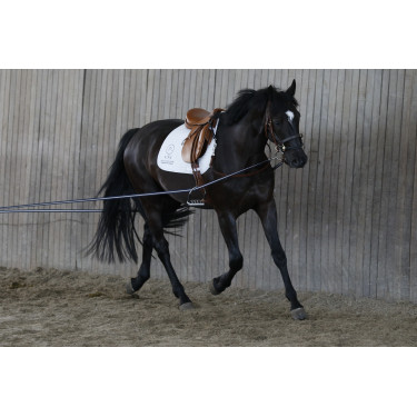 Riendas largas AKA Stübben Azul / Blanco