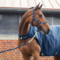 Ramal Horze Holbrook Peacoat azul oscuro