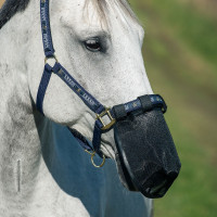 Protector nariz antimoscas Horze Negro