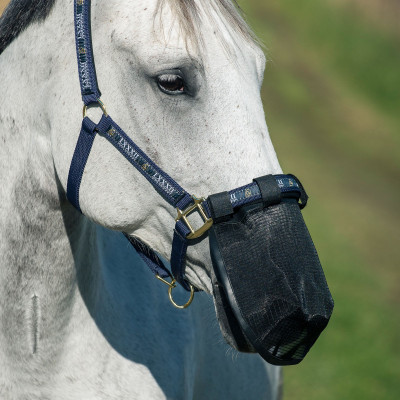 Protector nariz antimoscas Horze Negro