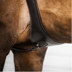 Cinch Stübben de cuero Contornos elásticos en ambos lados Ébano