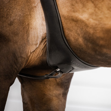 Cinch Stübben de cuero Contornos elásticos en ambos lados Ébano